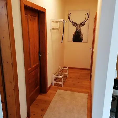 Apartment Charly Bad Kleinkirchheim